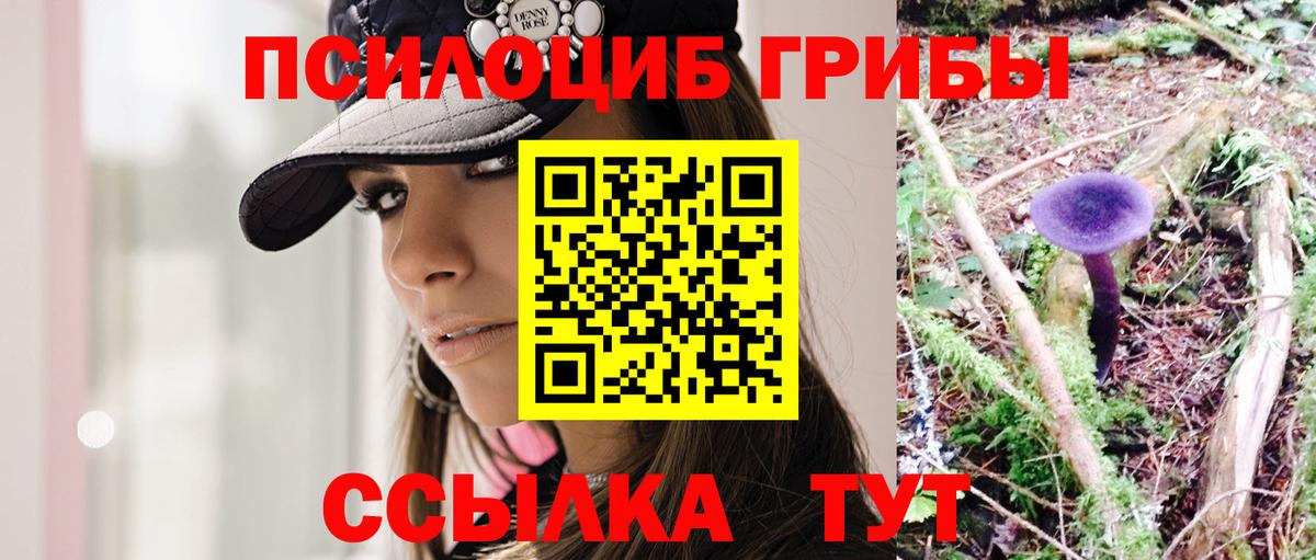 Карталы  Псилоцибиновые грибы ЛСД  Псилоцибиновые грибы прущие грибы  Вход с VPN 