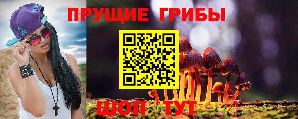 Псилоцибиновые грибы Cubensis Карталы